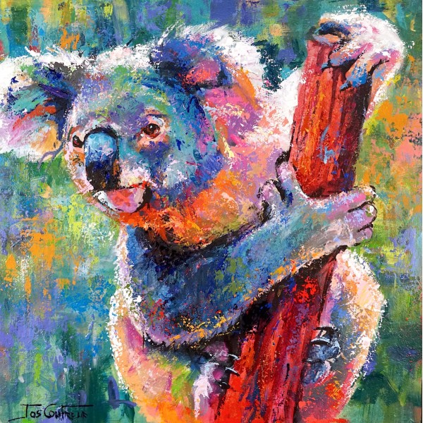 Koala 12